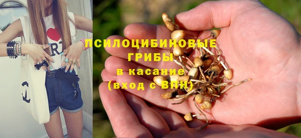 экстази Нязепетровск