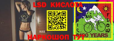 спиды Владимир