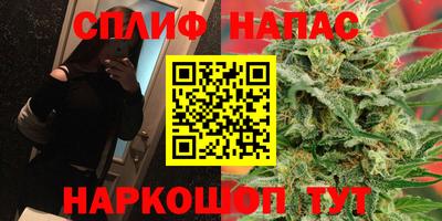 гидра Владикавказ
