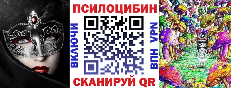 купить закладку  Североморск  Псилоцибиновые грибы MAGIC MUSHROOMS 